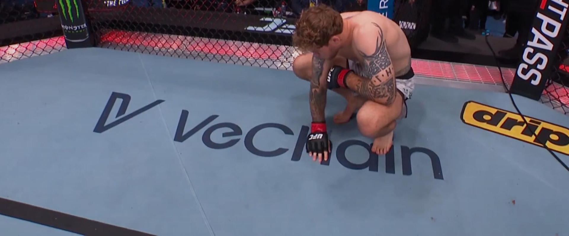 Vechain branding on the UFC Peripheral Canvas Mat